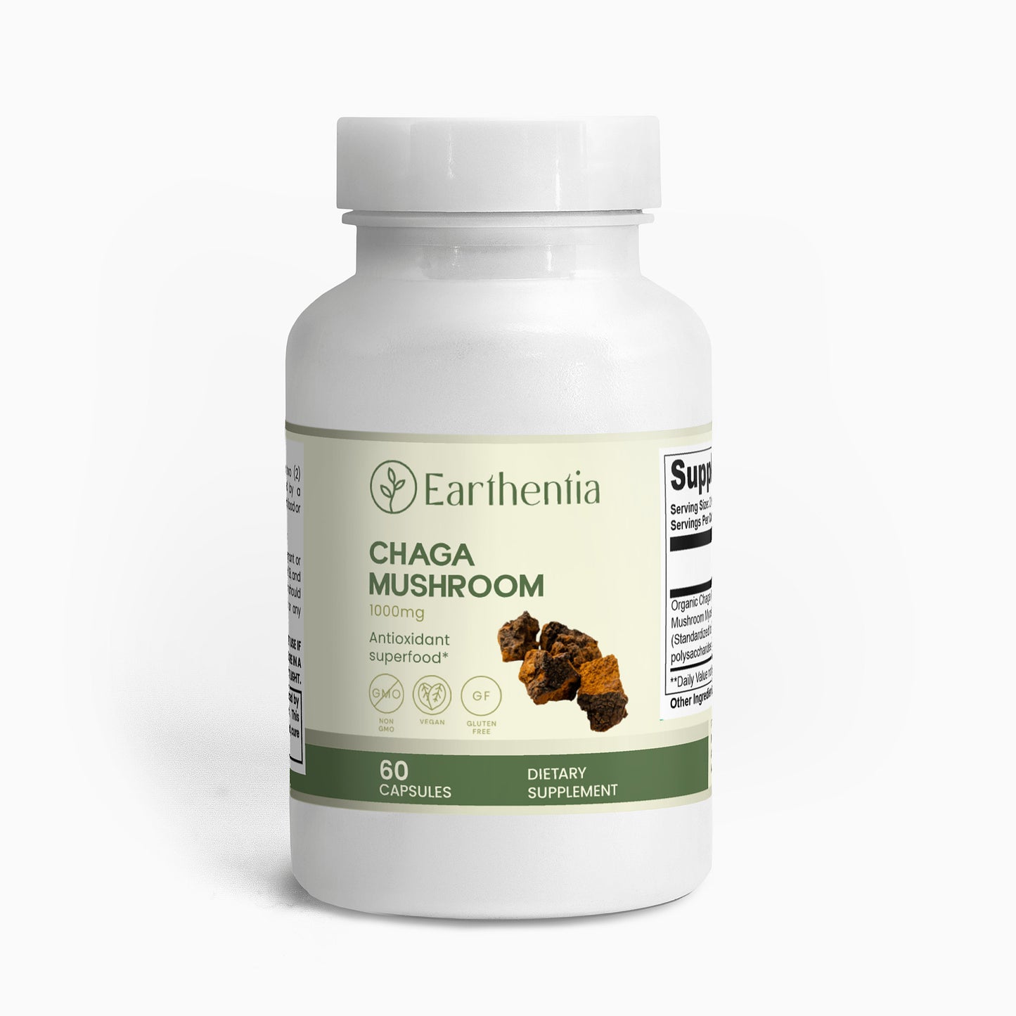 Chaga Mushroom